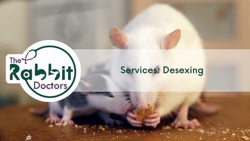 Services: Desexing