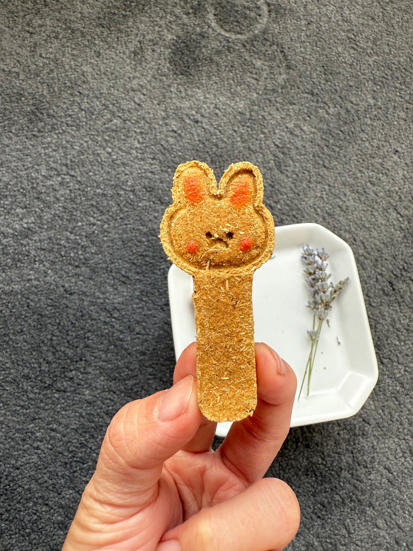 Bunny and Bear Cookie