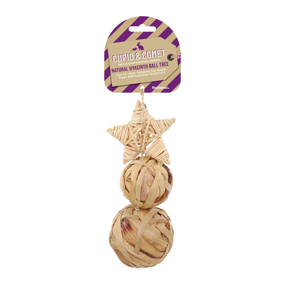 Hyacinth Trio Tree - Festive Season 2025