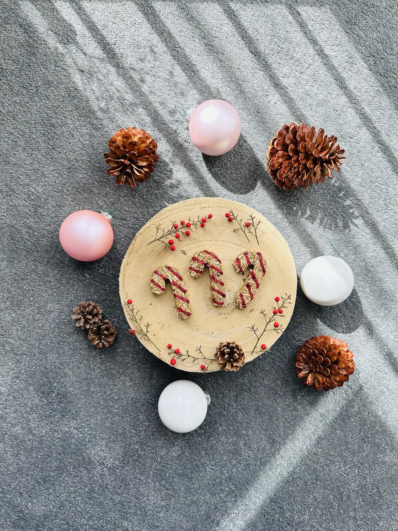 Candy Cane Treat - Festive Season 2025