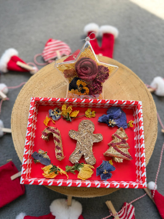 Mini Festive Gift Set Box - Festive Season 2025