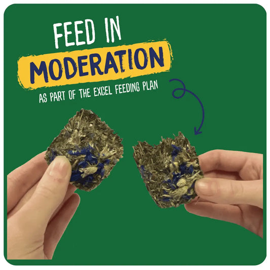 Excel Forage & Feast Hay Bar with Cornflower
