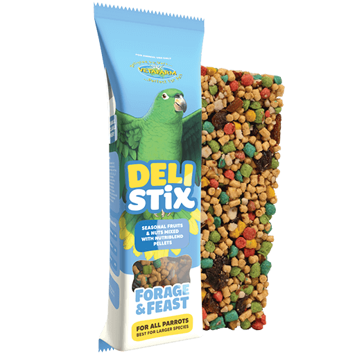 Deli Stix Forage Feast - Medium/Large Species Bird Treats