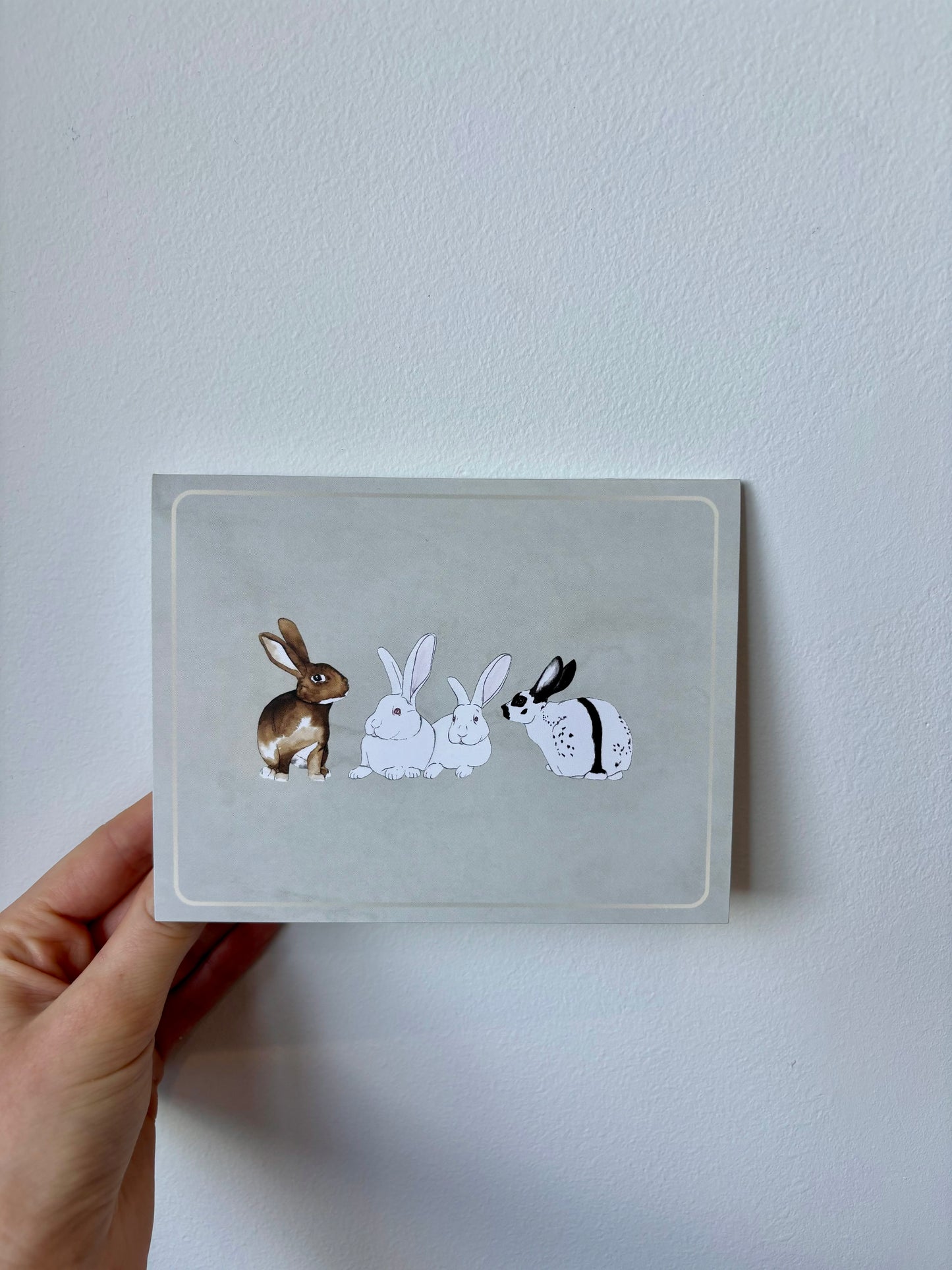Grouped Rabbits Greeting Cards - 6 pack