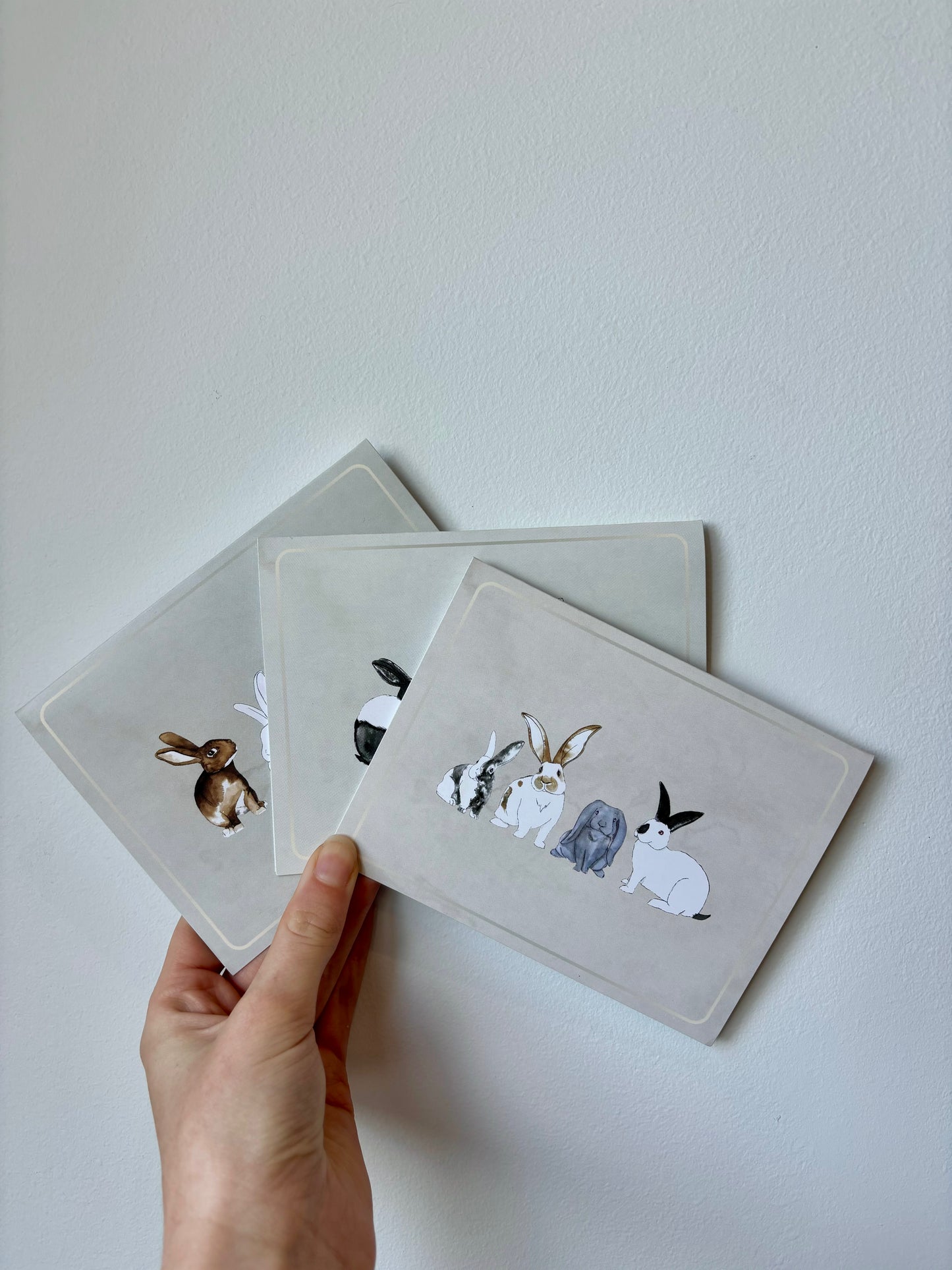 Grouped Rabbits Greeting Cards - 6 pack