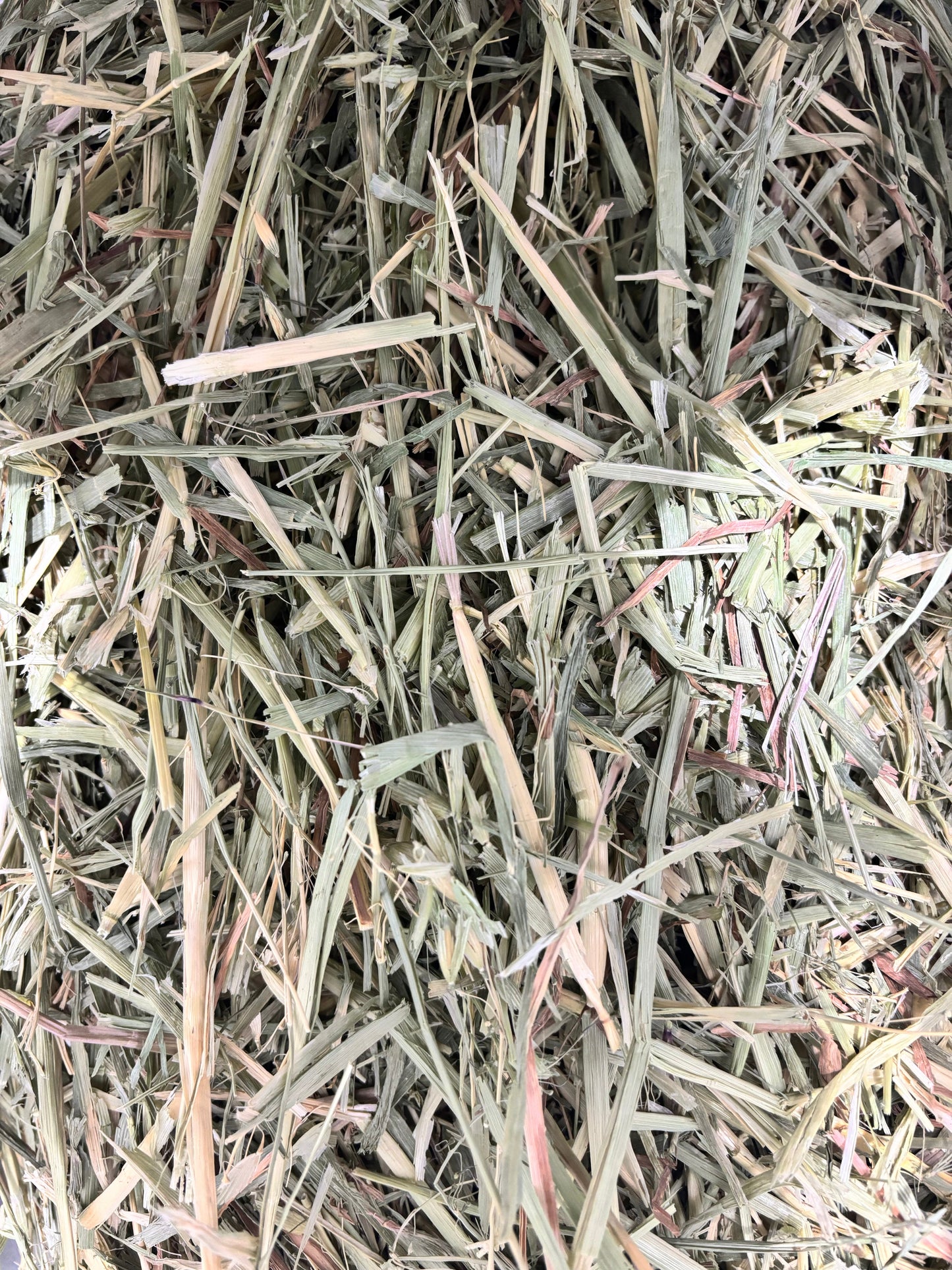 Short Cut Oaten Hay – Temporary Hay Shortage Alternative - Bagged