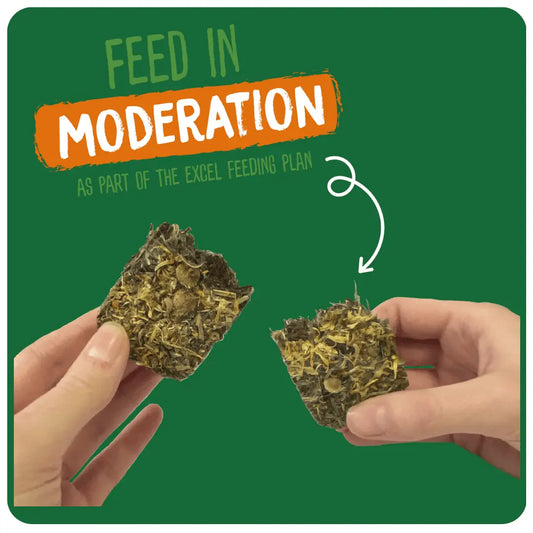 Excel Forage & Feast Hay Bar with Marigold