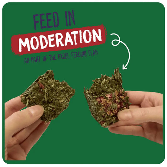 Excel Forage & Feast Hay Bar with Rose