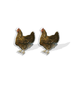 Brown Hen Stud Earrings