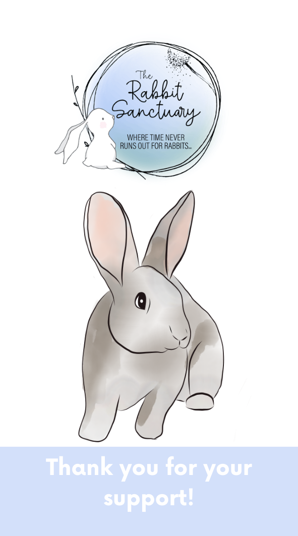 Charity Giving Tree - Festive Season 2025