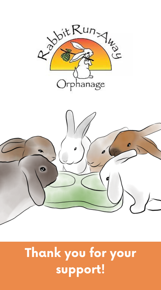 Charity Giving Tree - Festive Season 2025