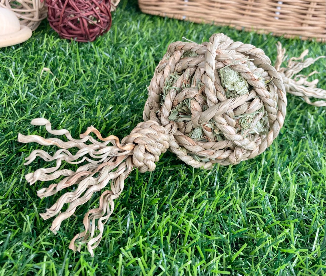 Seagrass & Hay Lolly - Nibble & Knots