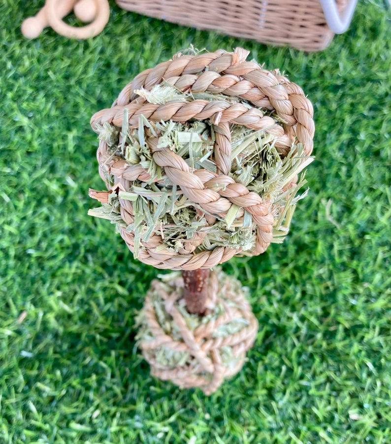 Dumbbell Toss & Chew - Nibble & Knots