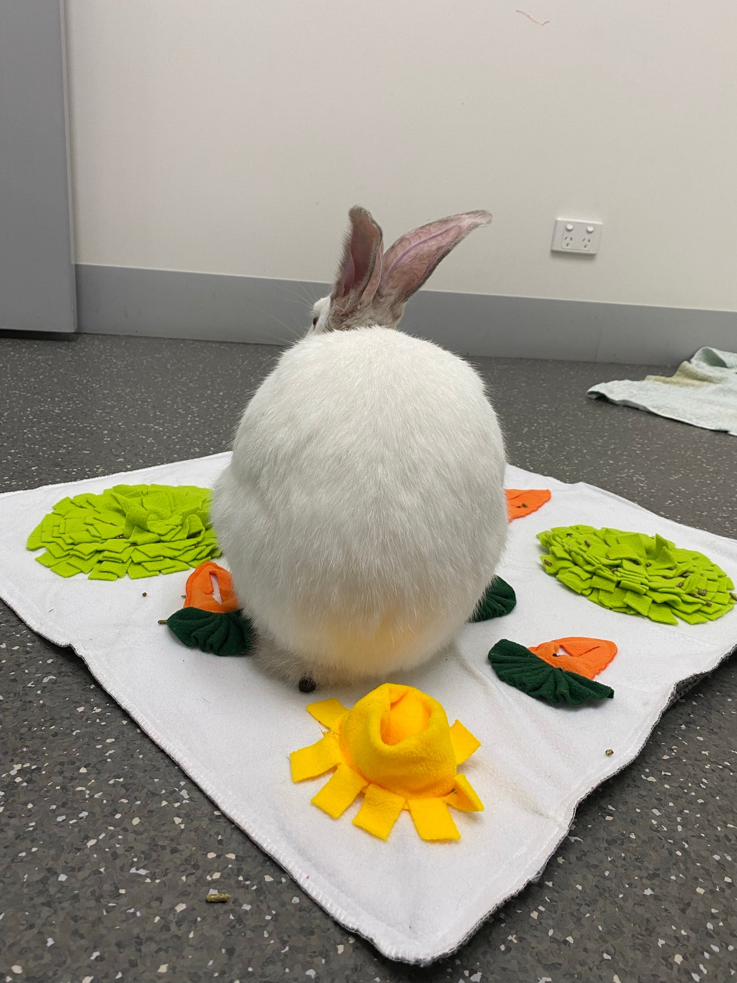 Rabbit Snuffle Mat