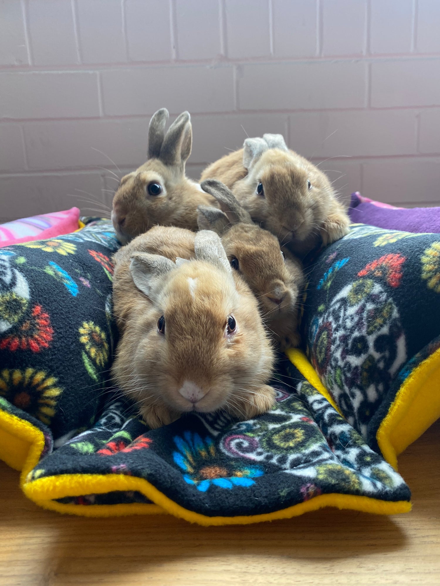 Beds