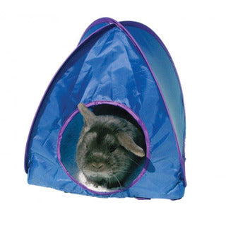Pop-Up Tent