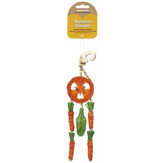 Carrot Dream Catcher