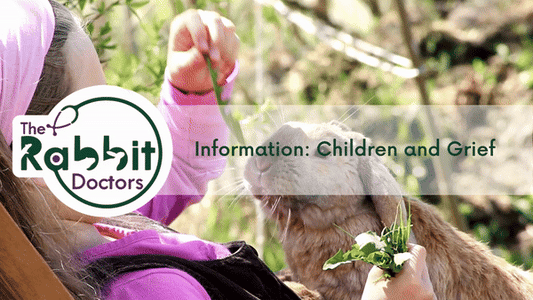 Information: Children and Grief