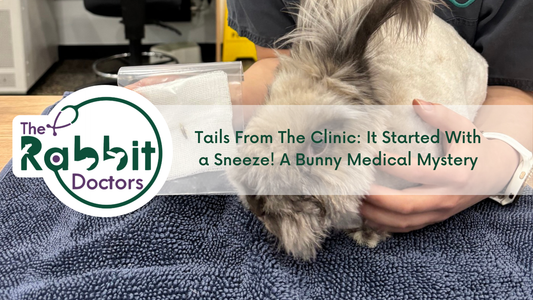 Tails From The Clinic: It Started With a Sneeze! A Bunny Medical Mystery