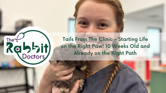 Tails From The Clinic - Starting Life on the Right Paw! 10 Weeks Old and Already on the Right Path