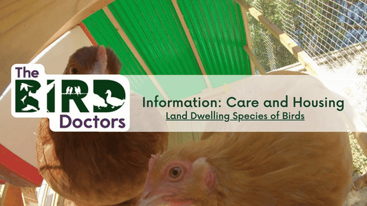 Information: Care and Housing - Land Dwelling Species of Birds