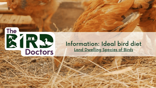 Information: Ideal Bird Diet - land Dwelling Species of Birds
