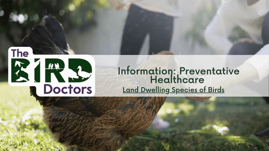 Information: Preventative Healthcare - Land Dwelling Species of Birds