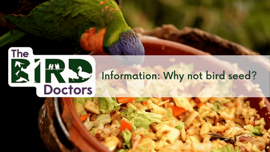 Information: Why Not Seed? (Bird Diet)