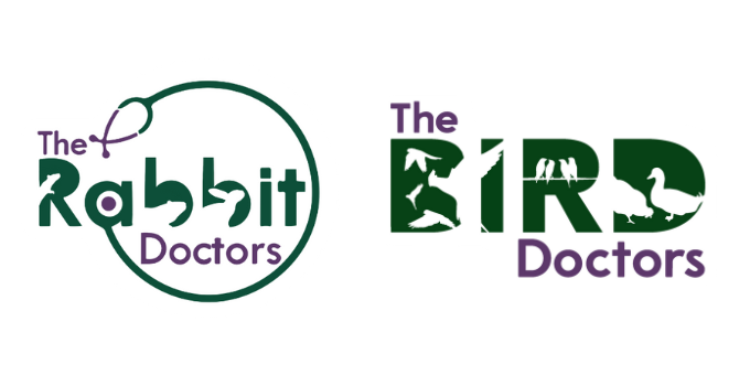 Qualified Veterinary Nurse