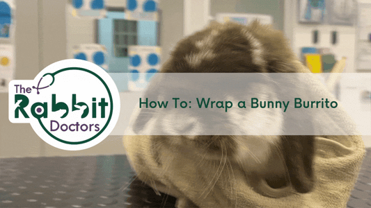 How To: Wrap a Bunny Burrito