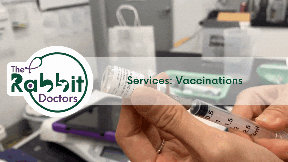 Services: Vaccinations
