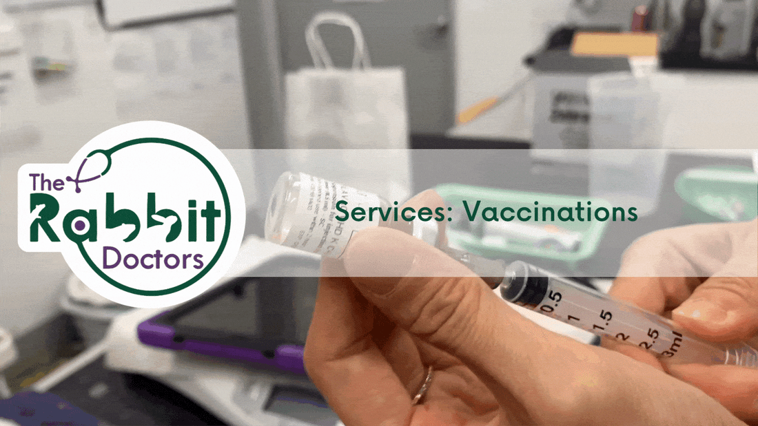 Services: Rabbit Vaccinations