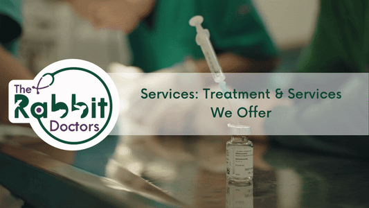 Services: Rabbit Treatments & Services We Offer