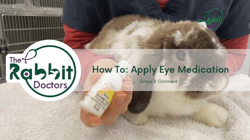 How To: Apply Eye Drops