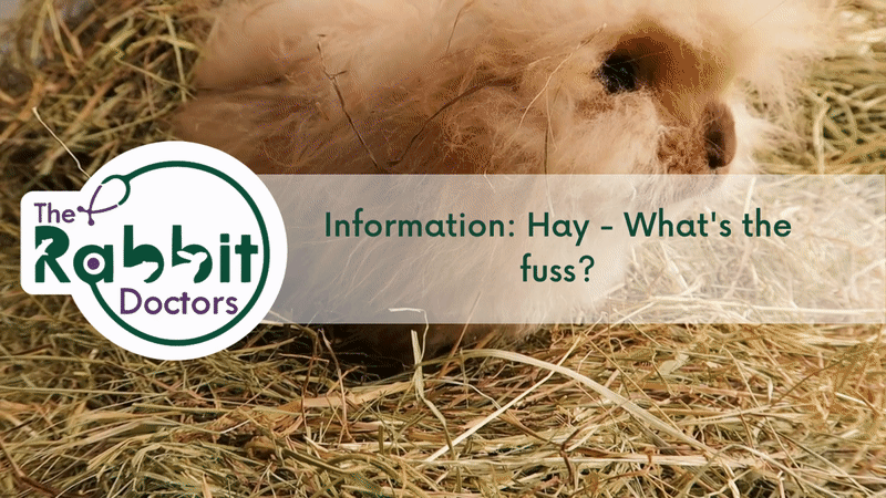 Information: Hay - What's the fuss?