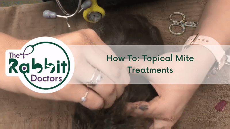 How To: Topical Mite Treatments