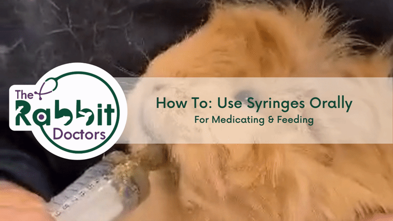 How To: Use Syringes Orally