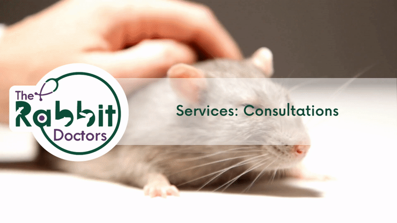 Services: Consultations