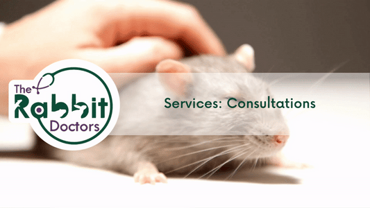 Services: Rat Consultations