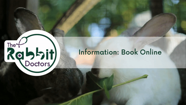 Information: Book Online