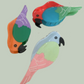 Bright Parrot Hair Clip