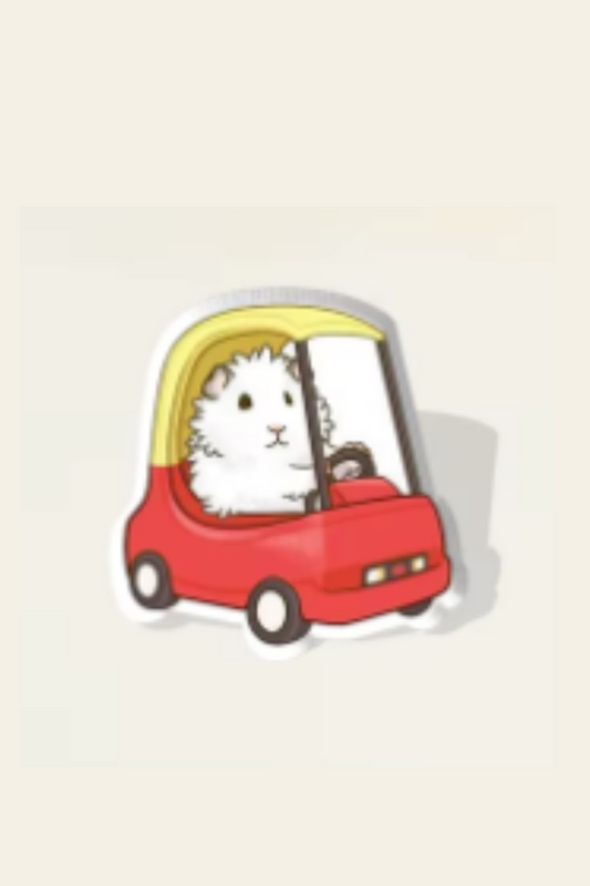 Driving Guinea Pig In Little Tikes Car Pin