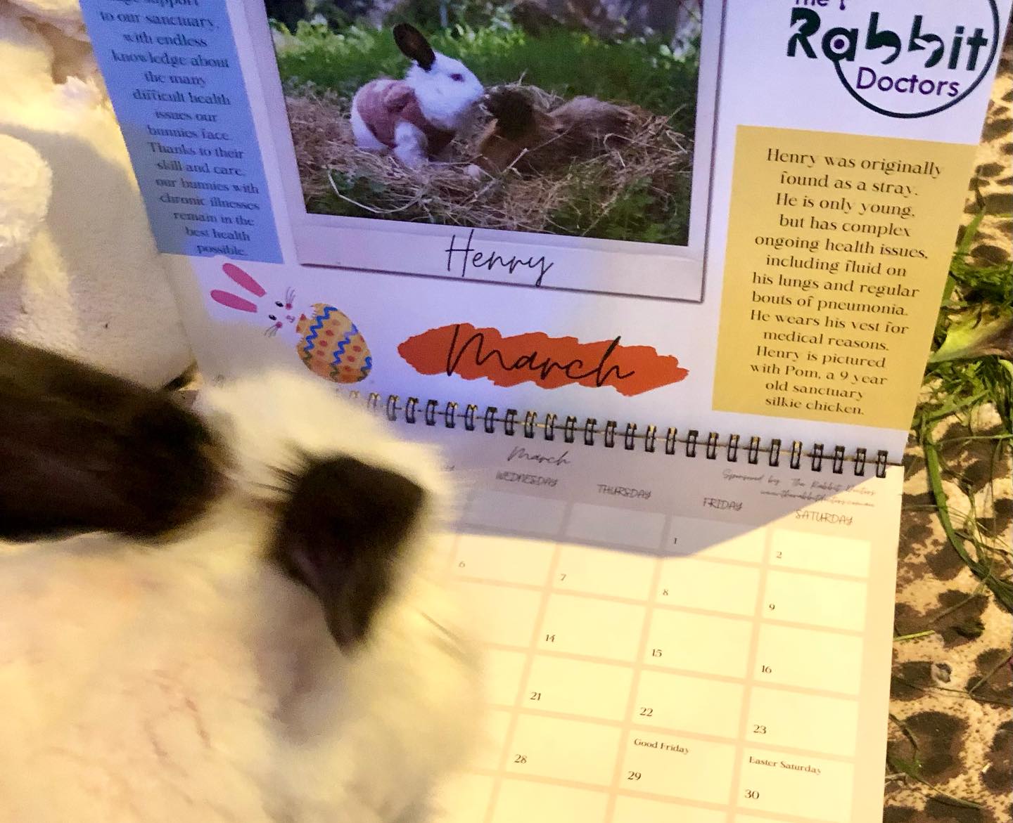 Bunnies of the Burrow Charity Calendar