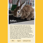 Charity Love Letter To My Bunny-tines