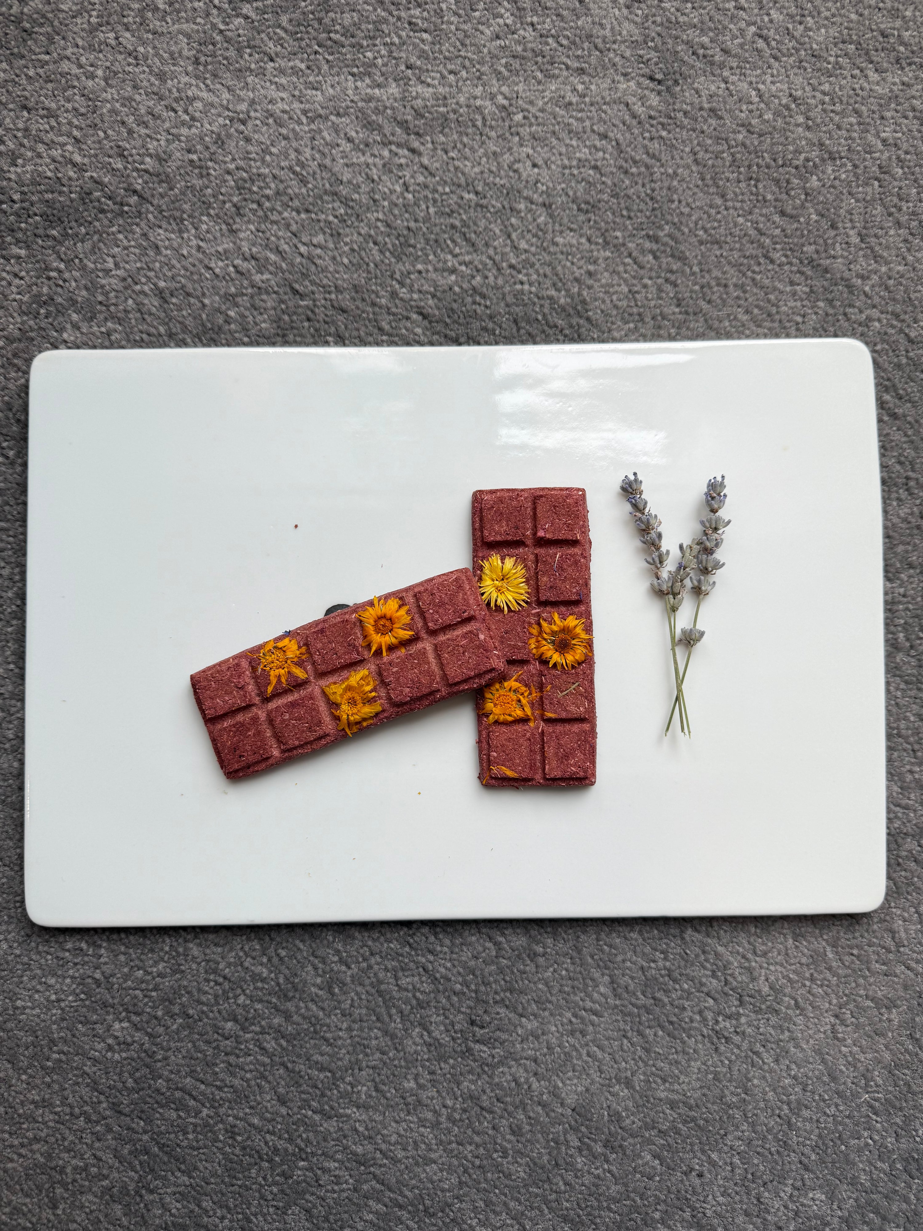 ChocoHare Delights - Raspberry – The Rabbit Doctors