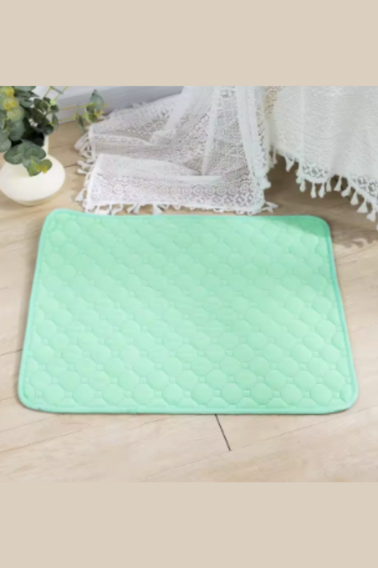 Coloured Washable Pet Pad