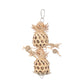 Pineapple Bird Toy