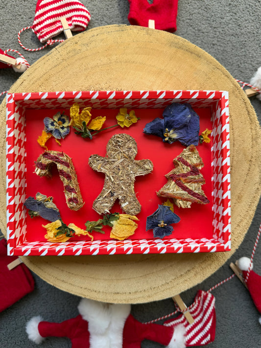 Mini Festive Gift Set Box - Festive Season 2025