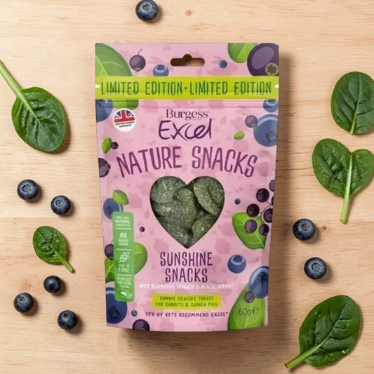 Excel Sunshine Snack
