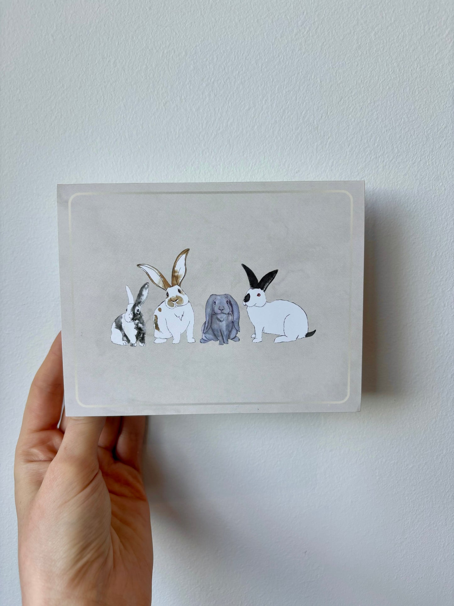 Grouped Rabbits Greeting Cards - 6 pack